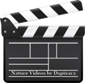 Nature Wildlife