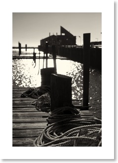 Black and White Photography For Sale. Black and white photography for sale.