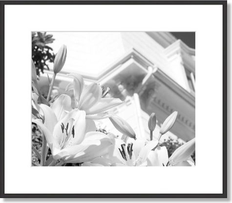 Black and White Flowers Framed Art Print
