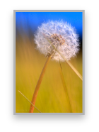 stacks_image_C6C779B1-D4C0-4C8F-ADDC-ACA719572E4A