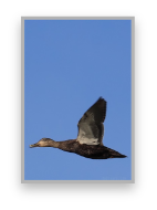 stacks_image_245FFEED-2B6F-4602-8AE1-1D3D2CD43A3D