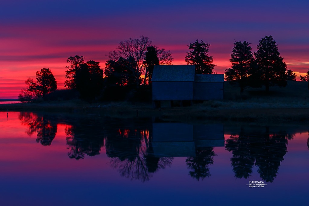 Today is the Winter Solstice - the shortest day of the year. Sunrise from Salt Pond on Cape Cod National Seashore. Photo: Dapixara please visit artist website https://dapixara.com for more unique Cape Cod National Seashore photos.