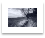 collage image title