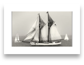 collage image title
