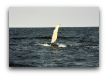 stacks_image_383D0AD6-AA86-465D-BFC8-308531216757