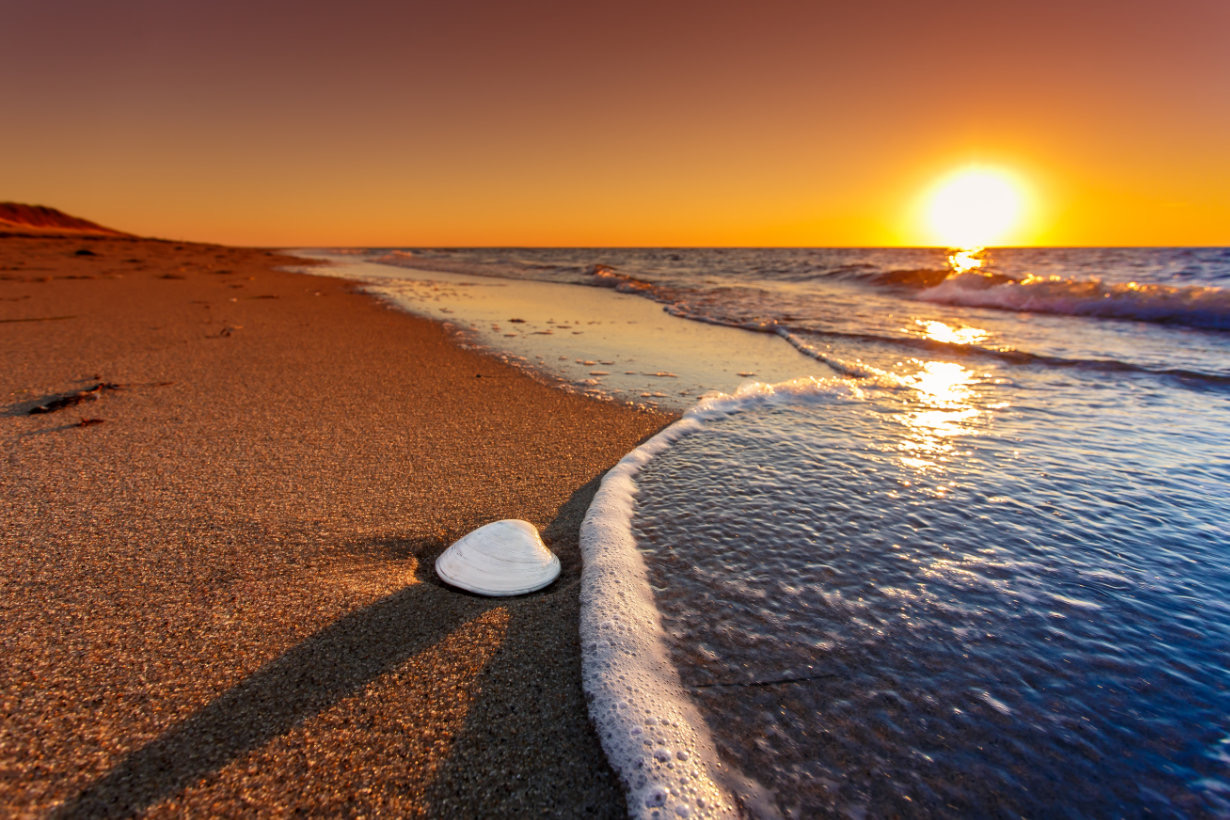 Evoking a deep sense of serenity, this fine art piece captures the delicate beauty of a seashell perfectly aligned with the setting sun’s rays, casting a striking elongated shadow upon the beach.