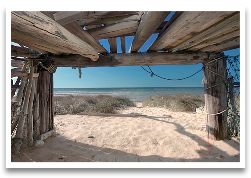 Buy Limited Edition Photographic Prints From Artist Dapixara.