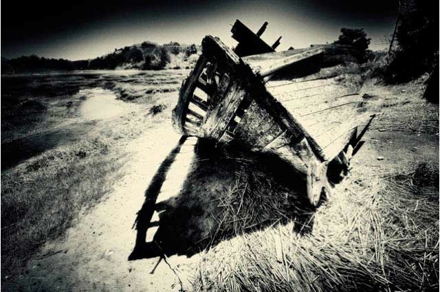 Black and white photography framed art