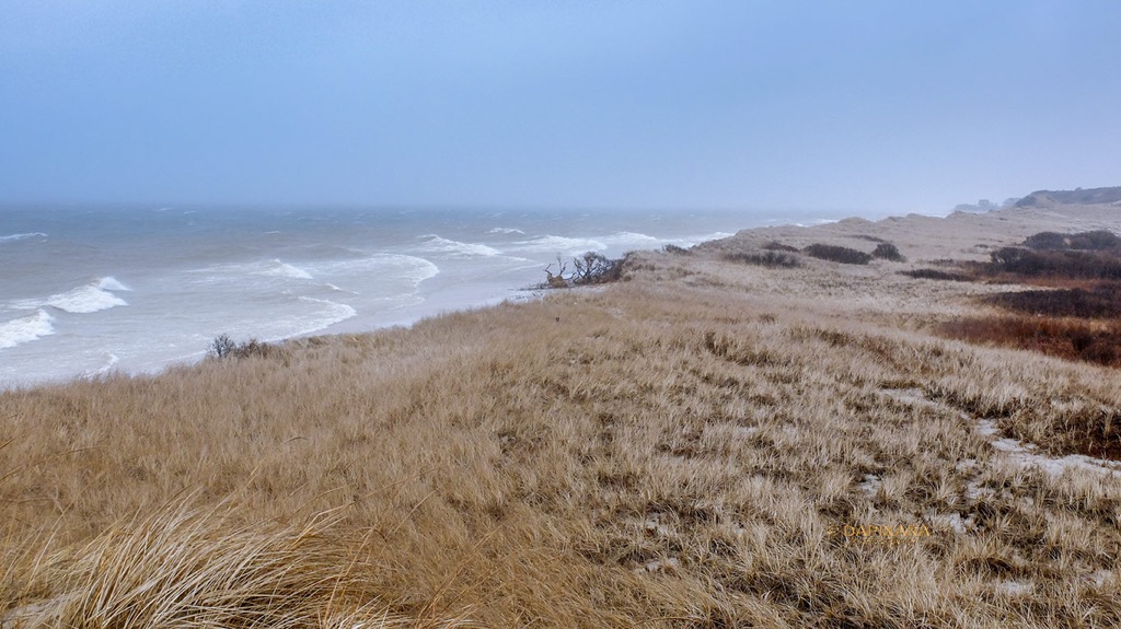 Major costal erosion at Duck Harbor beach, Wellfleet, Mass. January 24, 2019. Cape Cod news with photos at dapixara.com