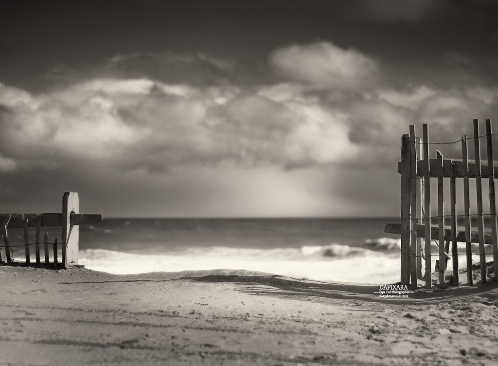 beach fence wellfleet. Get 10% OFF on 4 Cape Cod black and white photography prints by Dapixara! https://dapixara.com