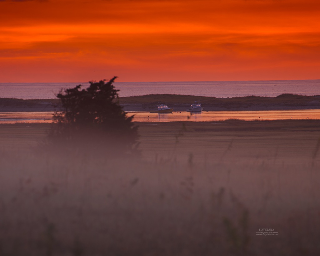 Photo: Before sunrise at Cape Cod National Seashore, Skiff Hill. Dapixara images https://dapixara.com