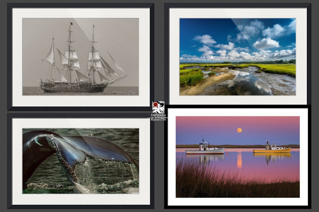 Cape Cod Art - The Best Early Black Friday Deal!