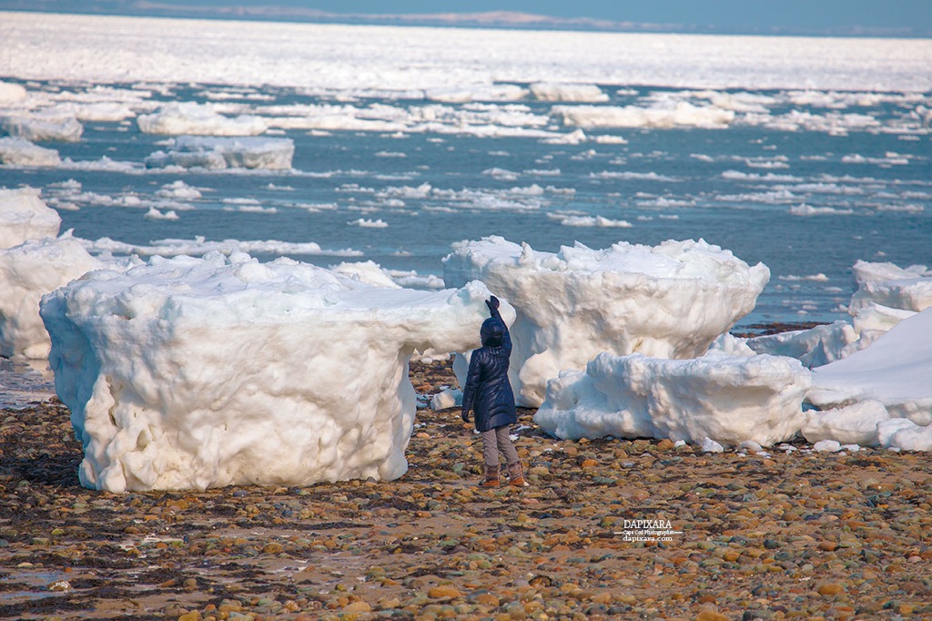 2015 March 9 when Giant Ice Chunks ( Cape Cod Icebergs ) of Ice wash ashore on Wellfleet beach. Photographer Dapixara https://dapixara.com