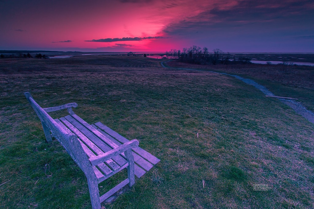 Look at that sunrise today! Cape Cod National Park - Eastham. © Dapixara Capecod images https://dapixara.com