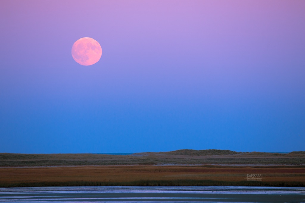 Tonight's  stunning Full Moon from the Cape Cod National Seashore ( Nauset Spit). Photo by Dapixara https://dapixara.com