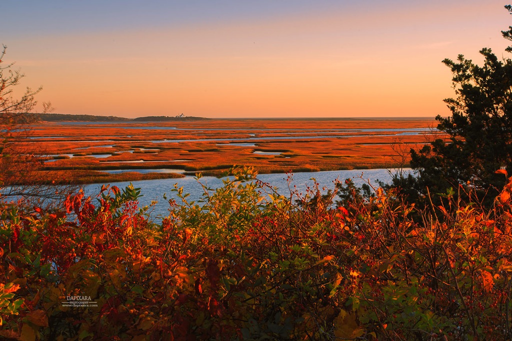 A golden fall sunrise on Cape Cod National Seashore! Cape Cod National Park in Eastham, Massachusetts. Photo by Dapixara. https://dapixara.com