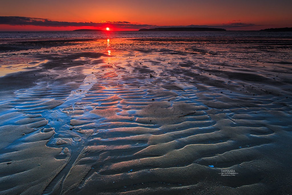 Spectacular beach sunset today at low tide. Indian Neck beach, Wellfleet Cape Cod. Photo by Dapixara https://dapixara.com