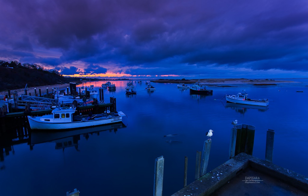 Tonigt's sunset from Chatham Fishermans pier Cape Cod, with extra 2 seals + 2 seagulls:) ! Dapixara photography https://dapixara.com