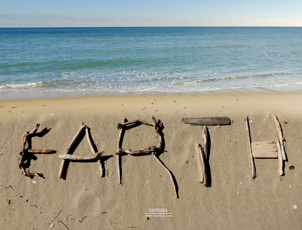 Every day is Earth day on Cape Cod. Driftwood on Wellfleet beach. 2016 Artist Dapixara.