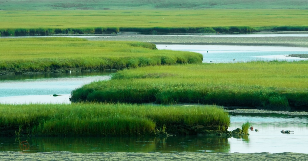 Eastham, Massachusetts, Cape Cod. Dapixara Photo of marshes