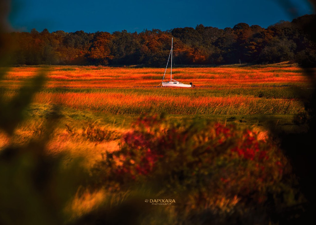 Fall perfection at Eastham marshlands today. Fall colors. Eastham, Massachusetts marshes. © Dapixara, October 19, 2018.