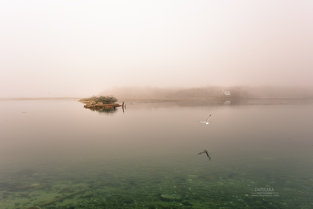 Fog over a Pamet River in the Truro, Cape Cod. 2016 © Dapixara photography.
