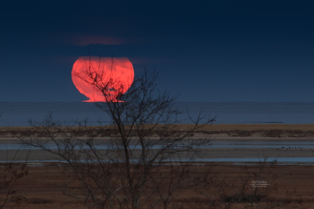 Today Moonrise of (Long Nights Moon) in Eastham Cape Cod National Seashore. Full Moon by Dapixara https://dapixara.com