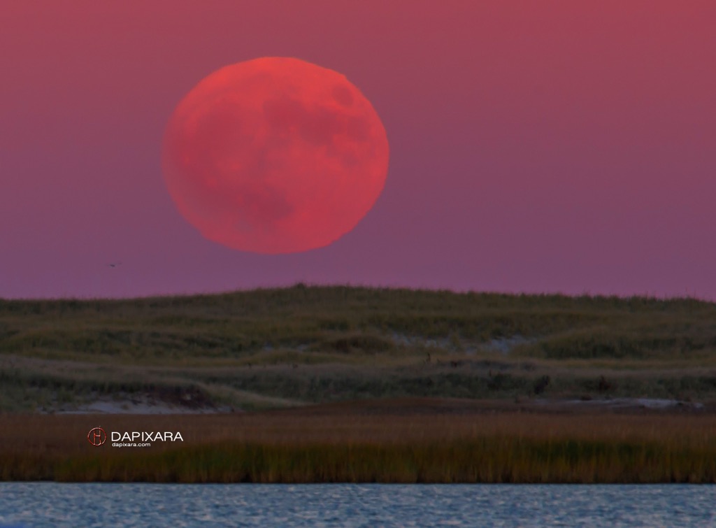 Friday the 13 brings a Full Moon!  Full Moon on Cape Cod.  © Dapixara.