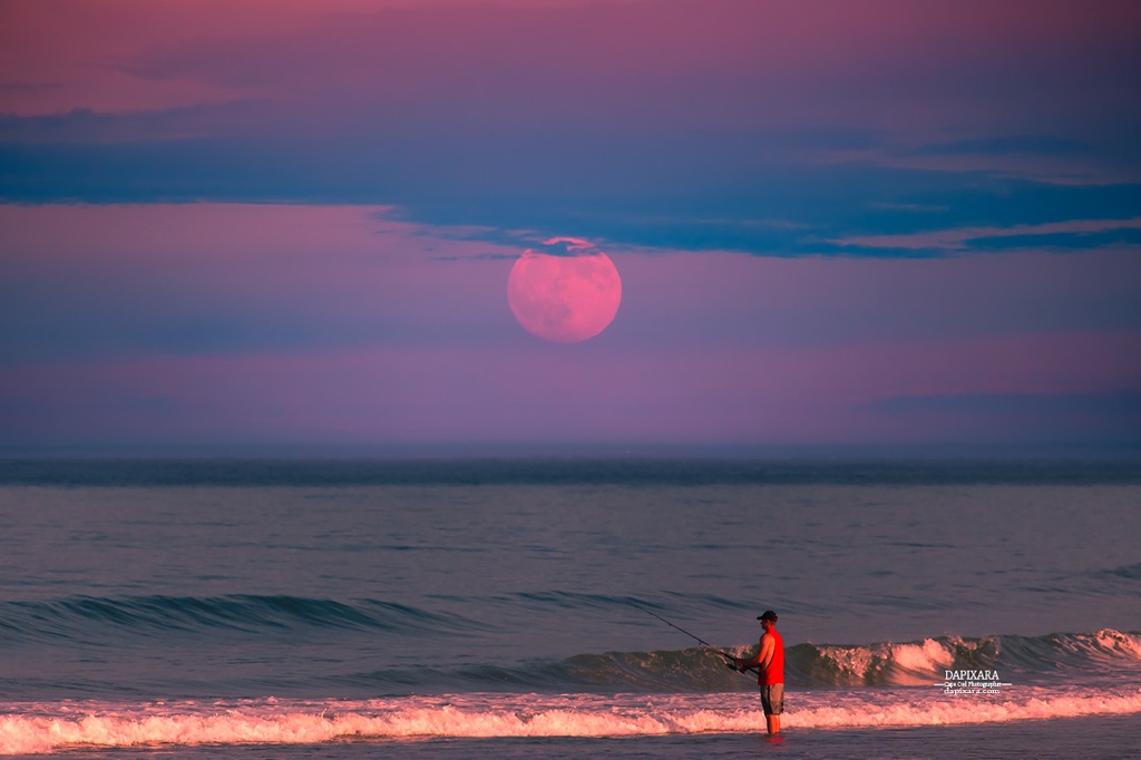 Full red Moon rising Today over the Ocean at sunset. Nauset beach, Cape Cod national Seashore. Photo by Dapixara https://dapixara.com