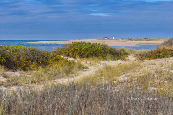 Herring Cove Beach. Located at the end of Rt 6 in Provincetown.