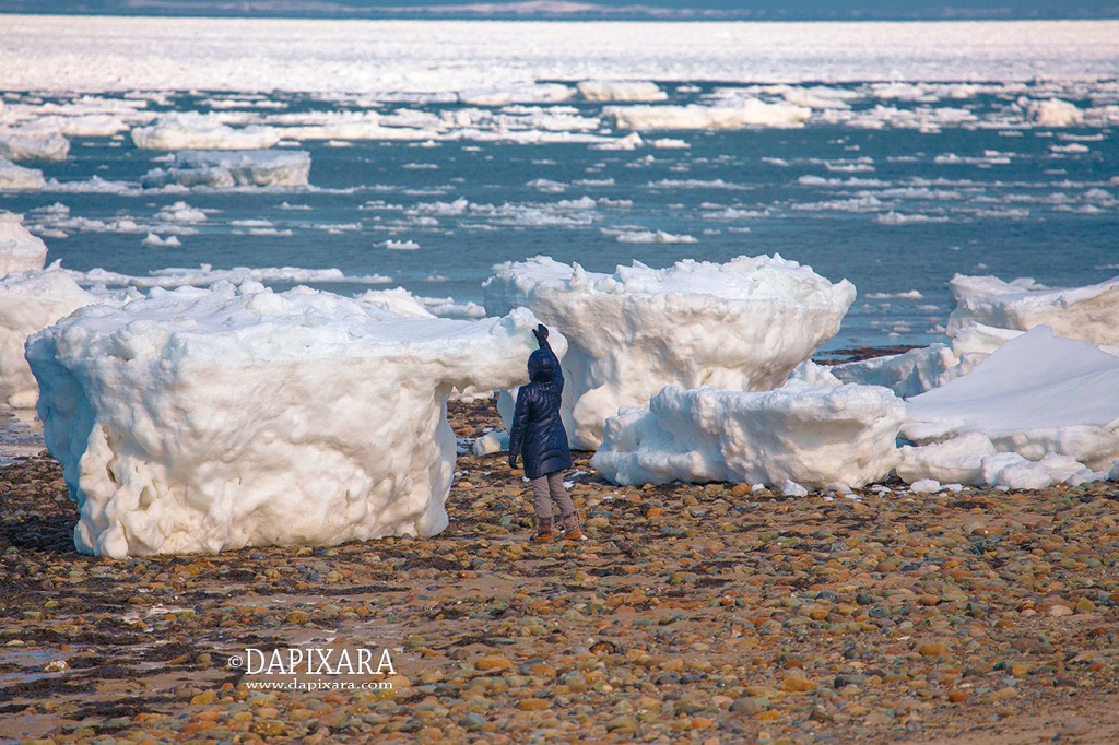 Cape Cod Ice Chunks taller than humans. Duck Harbor.  Photographer © Dapixara 2015.