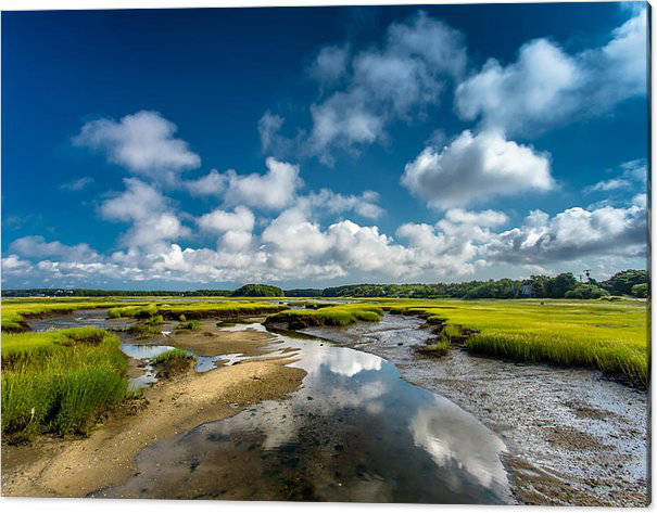 Large Landscape wall art canvas print featuring the photograph The Salt Marshes in Wellfleet MA by Darius.A - Dapixara