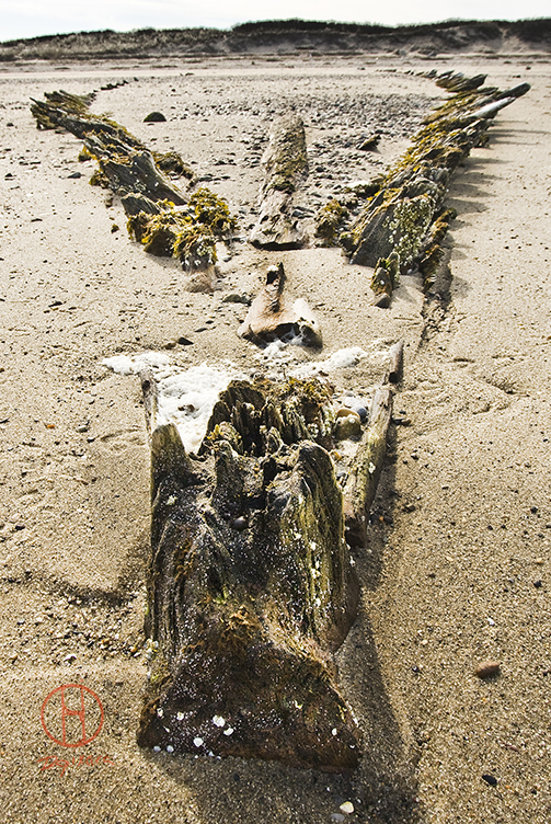 Long_Point_Provincetown_Shipwreck