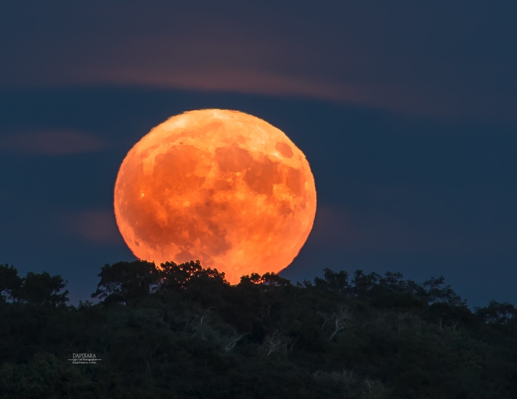 Full Moon (Waxing Gibbous) at Cape Cod National Seashore, Wellfleet, Massachusetts, USA. © Dapixara Moon photography.