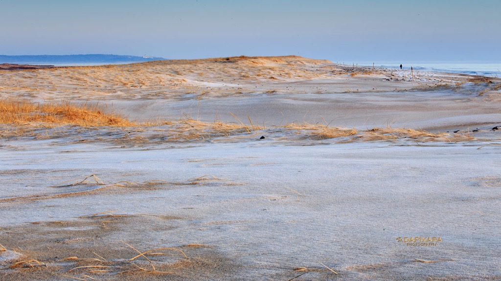 nauset beach cape cod winter. © Dapixara.