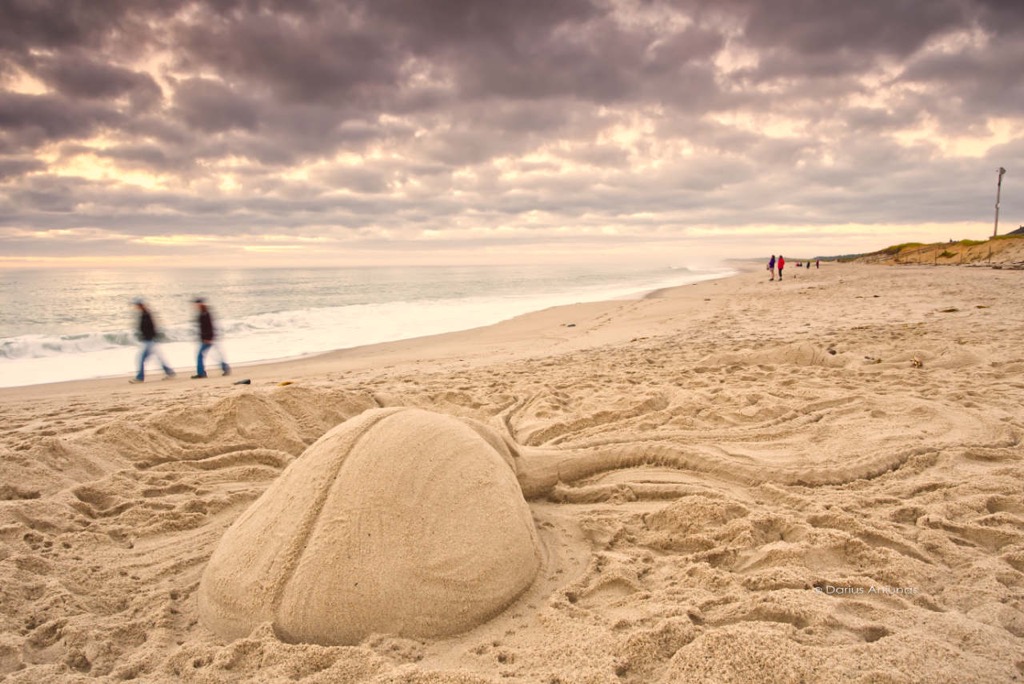 Nauset beach, Orleans, Massachusetts. Sand sculptures.