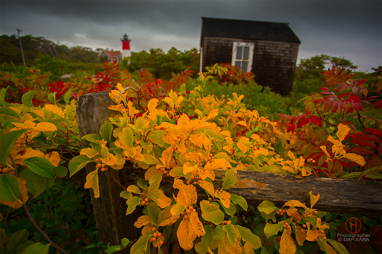 Nauset Lighthouse, Fall Foliage in Cape Cod.