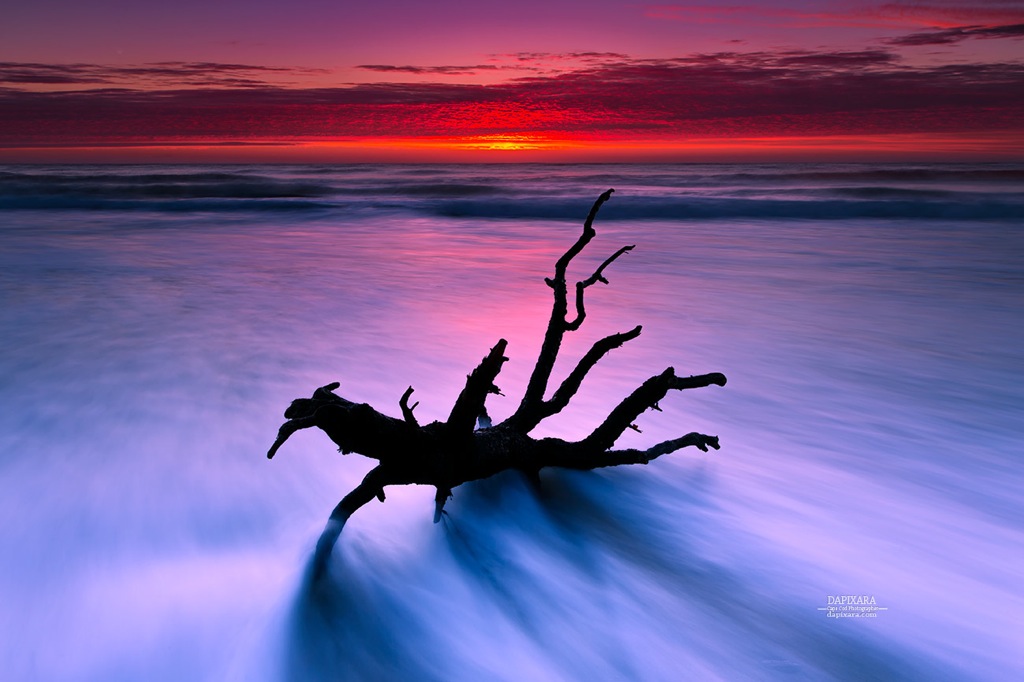 Mystical sunrise over Nauset beach this morning. Dapixara photography https://dapixara.com