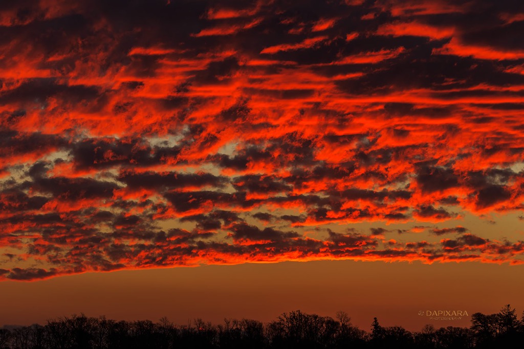Red sky in the morning… Cape Cod at sunrise today ( January 6, 2019). © Dapixara landscape photography.