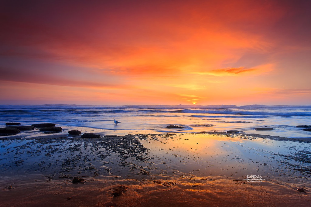 Today's sightly Ocean sunrise at Nauset beach in Orleans, Cape Cod. Photo by Dapixara https://dapixara.com