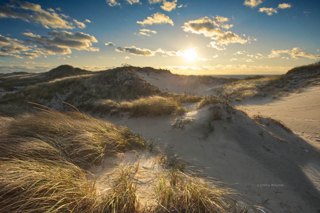 Stunning sunset over dunes of Great Island beach in Wellfleet, Cape Cod National Seashore. Buy as a framed print or print on canvas fine artwork for sale. Cape Cod coastal landscape photography by Darius Aniunas - Dapixara 