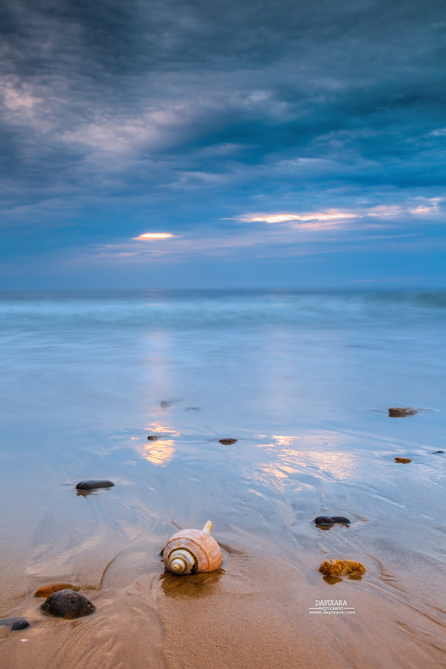 Sunrise and Shell On Nauset Beach, Orleans, , Cape Cod. Dapixara photography.