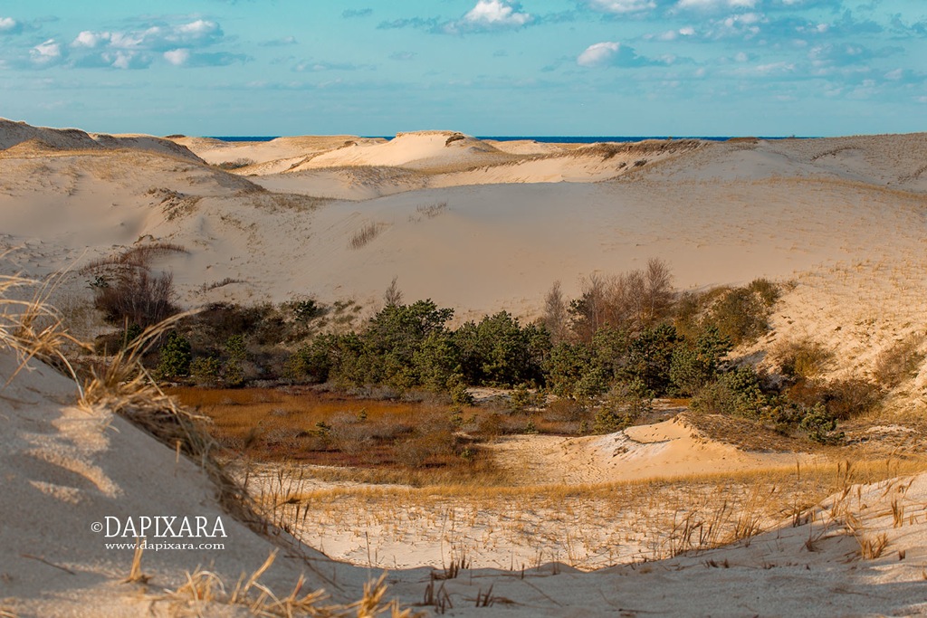 The Dunes Provincetown Cape Cod. Cape Cod photo of the day by photographer Dapixara.