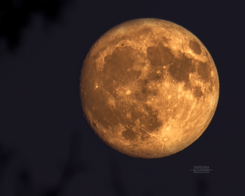 Waxing Gibbous Full Moon rising Today over Wellfleet Cape Cod National Seashore. Dapixara photography https://dapixara.com