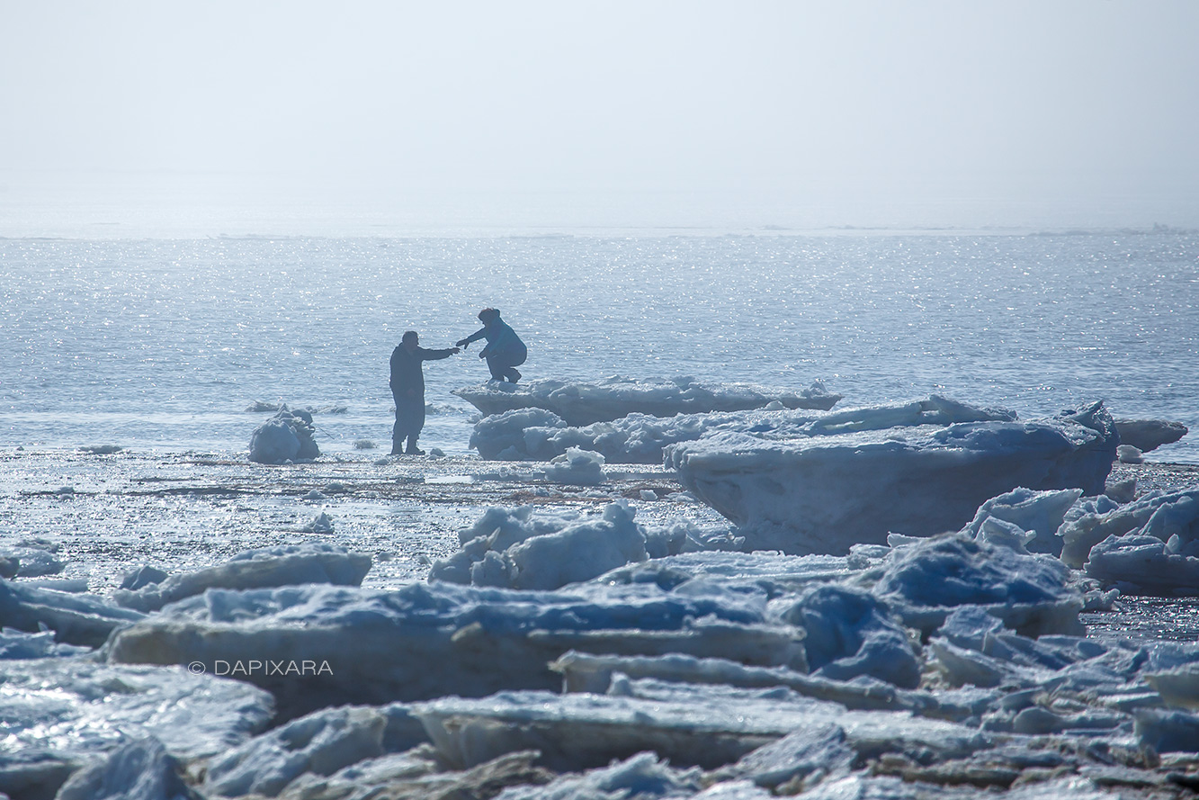 Today locals enjoing warm Cape Cod weather and melting ice chunks (Cape Cod Icebergs). Photographer Dapixara.