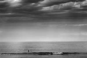 Cape Cod Surfer black and white photo by Dapixara.
