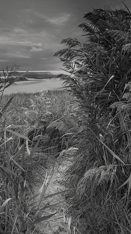 september evening dapixara photo