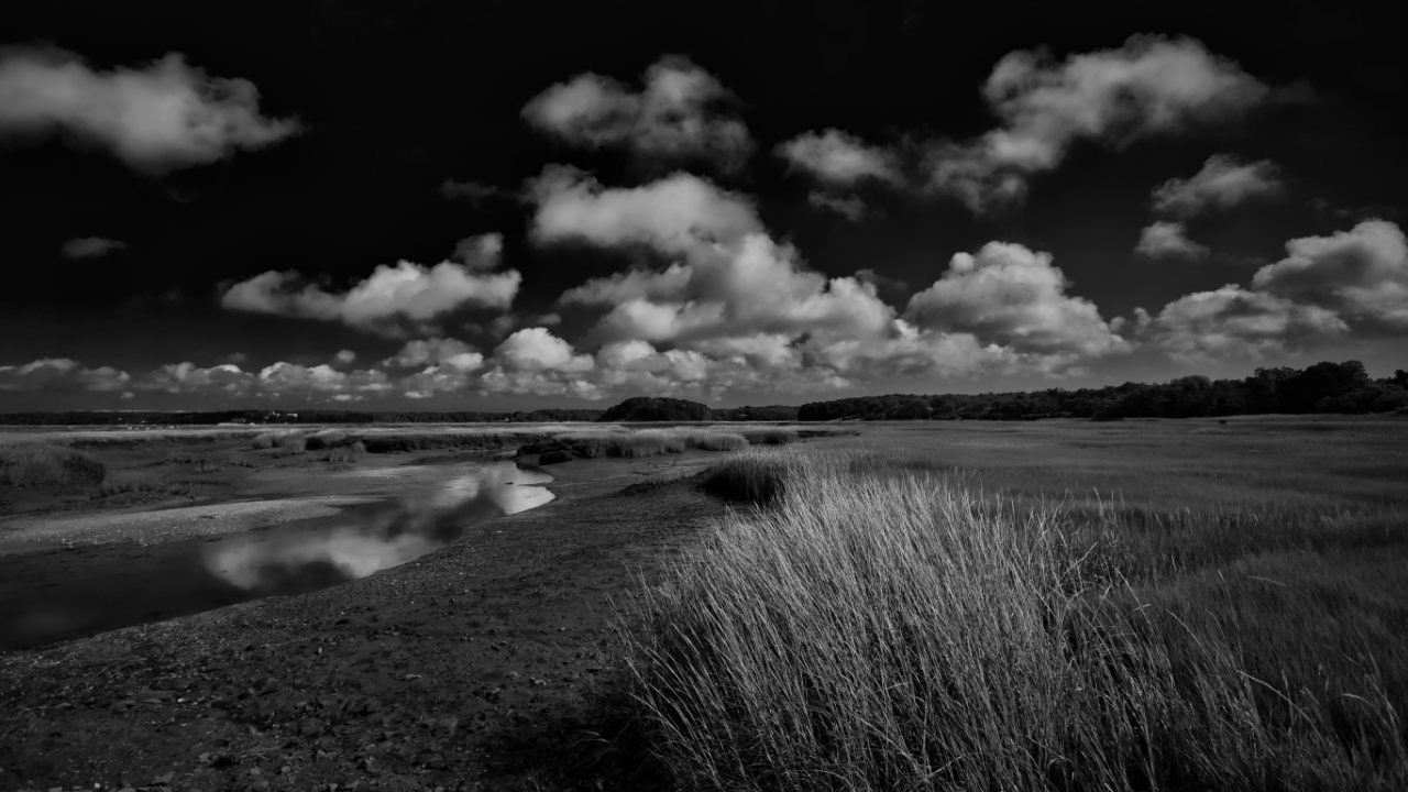 Fine Art Photography Cape Cod Cloudscape Black and White Landscape Print For Sale by Dapixara - Darius. A.
