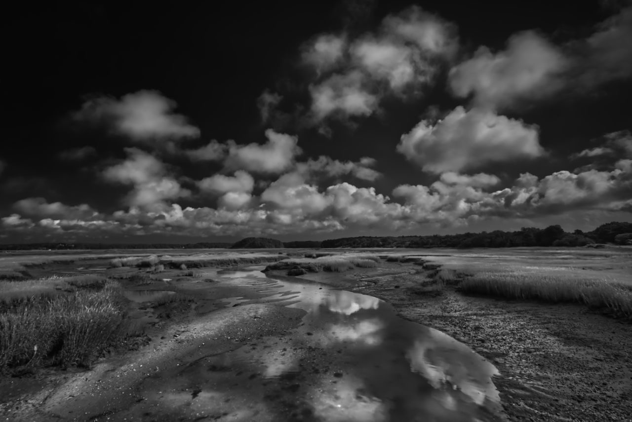 Cape Cod Marches Black and White Landscape Print for sale.