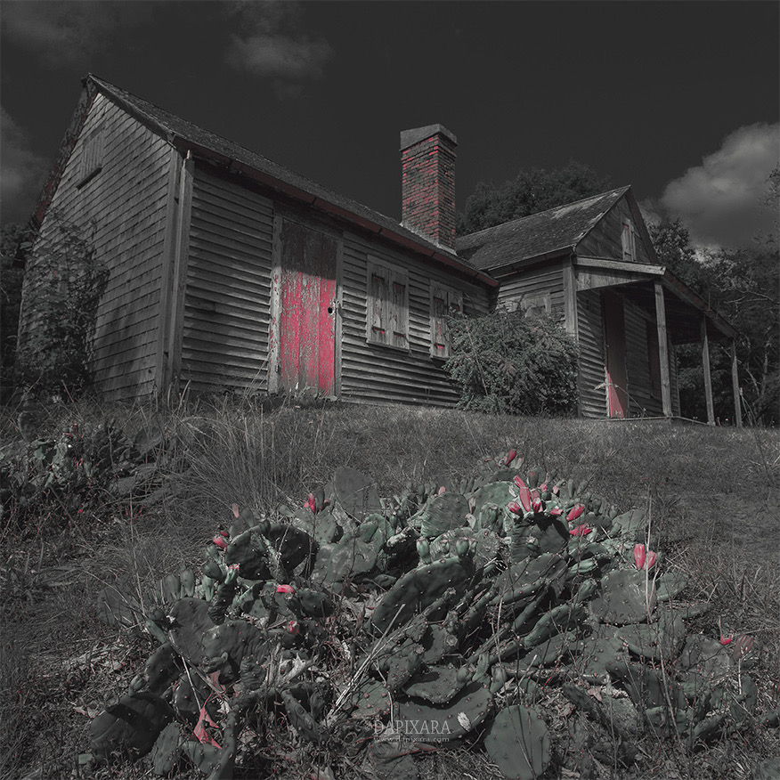 Old Cape Cod House. Atwood house in Wellfleet, Massachusetts. Black and white with red photograph by Dapixara.